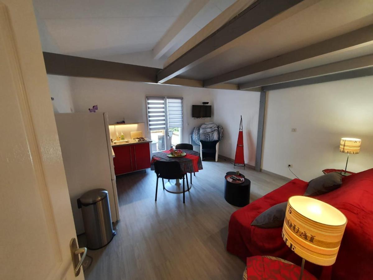 Dormir A Montauban Logements Carreyrat Calme Et Verdoyant エクステリア 写真
