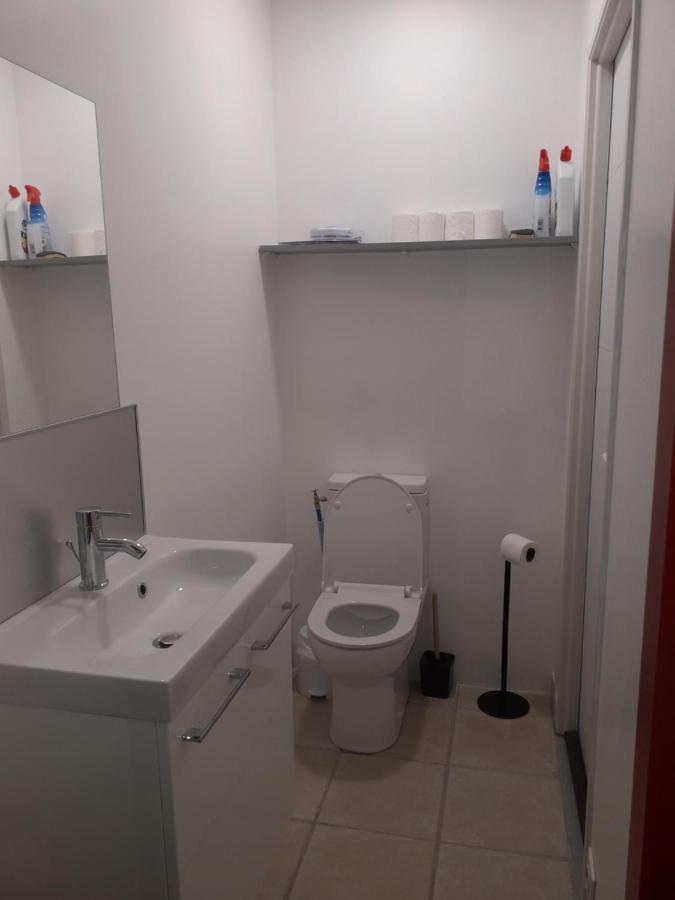 Dormir A Montauban Logements Carreyrat Calme Et Verdoyant エクステリア 写真
