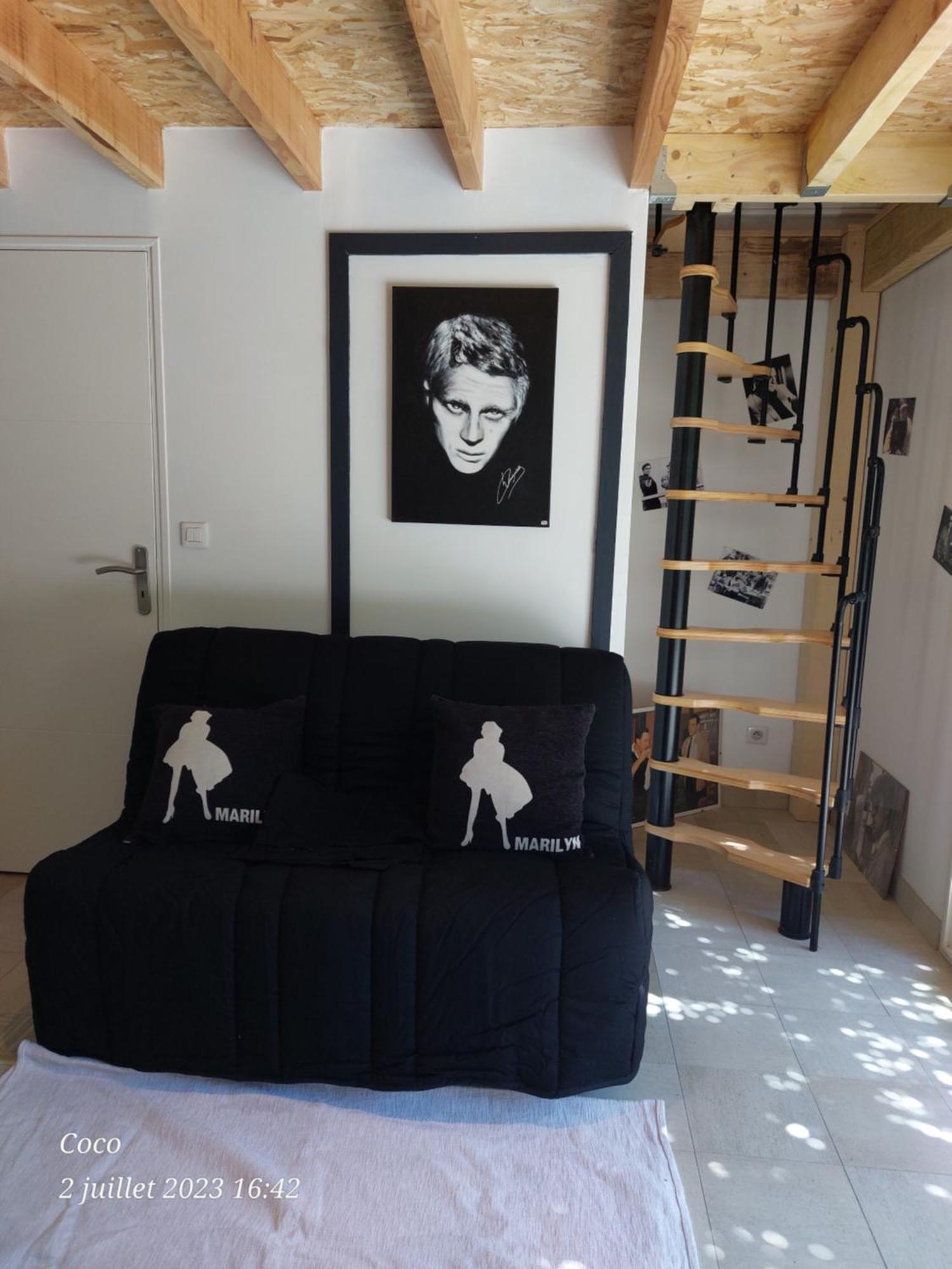 Dormir A Montauban Logements Carreyrat Calme Et Verdoyant エクステリア 写真